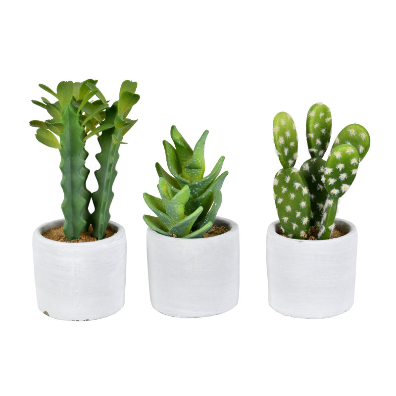 Bungalow Rose 3 Artificial Cactus Plant in Pot Set & Reviews Wayfair.ca